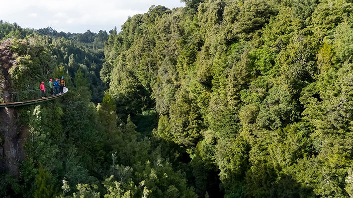 Best zipline in New Zealand cliff walk