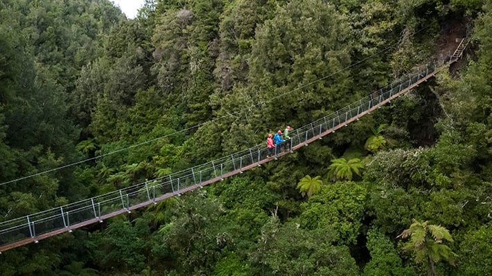 Best zipline in New Zealand swingbridge