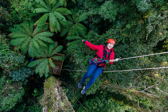 Best zipline in New Zealand tree walk descent