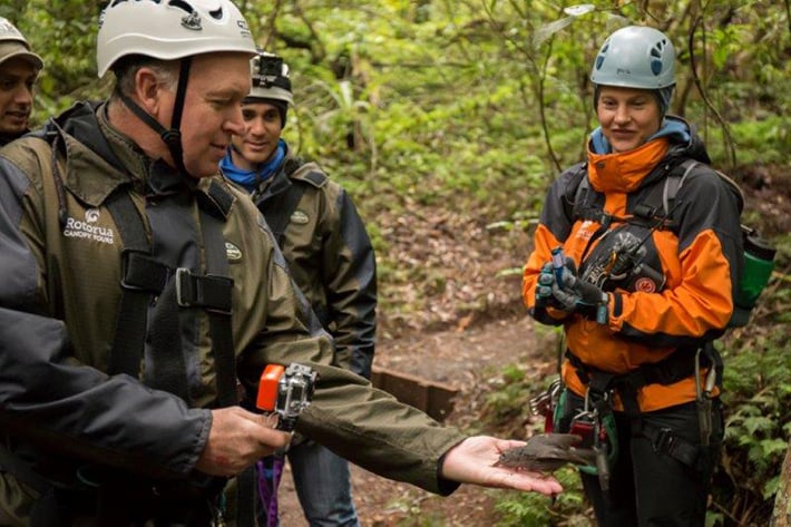 Bird feeding on eco zipline tours