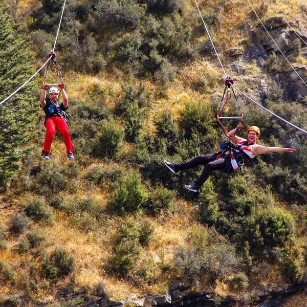 zipline-new-zealand-canyon-fox