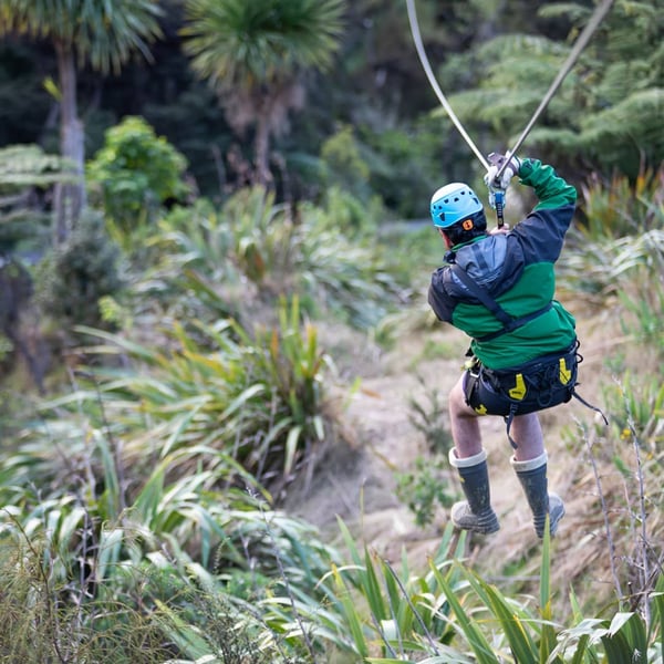 zipline-new-zealand-corozip