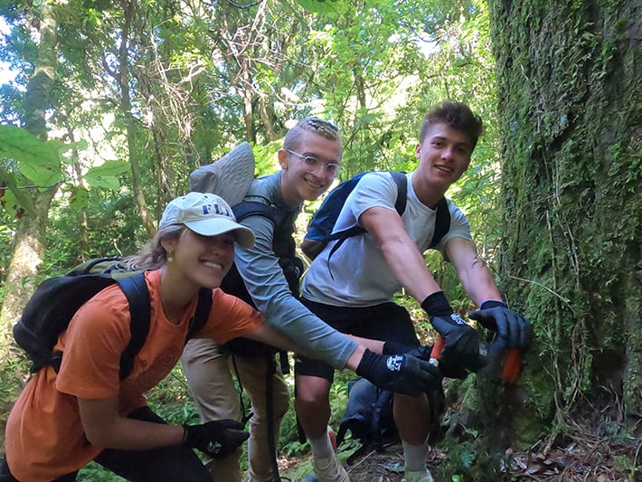 Eco tours new zealand volunteer group