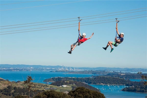 zipline-new-zealand-ecozip-adventures