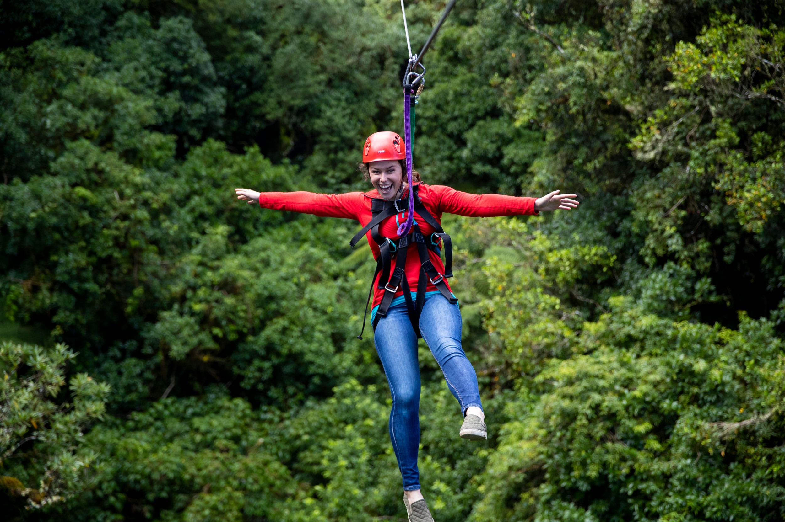 Conservation Rotorua activities