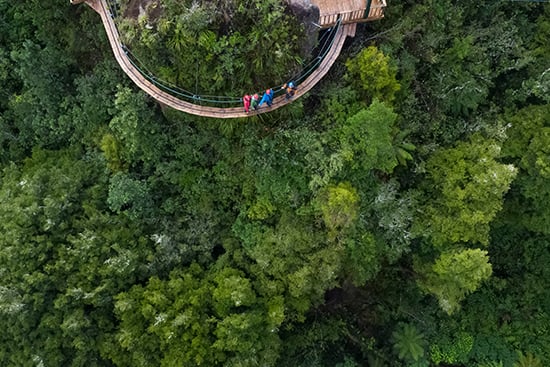 Gifts for men who already have everything Rotorua Canopy Tours