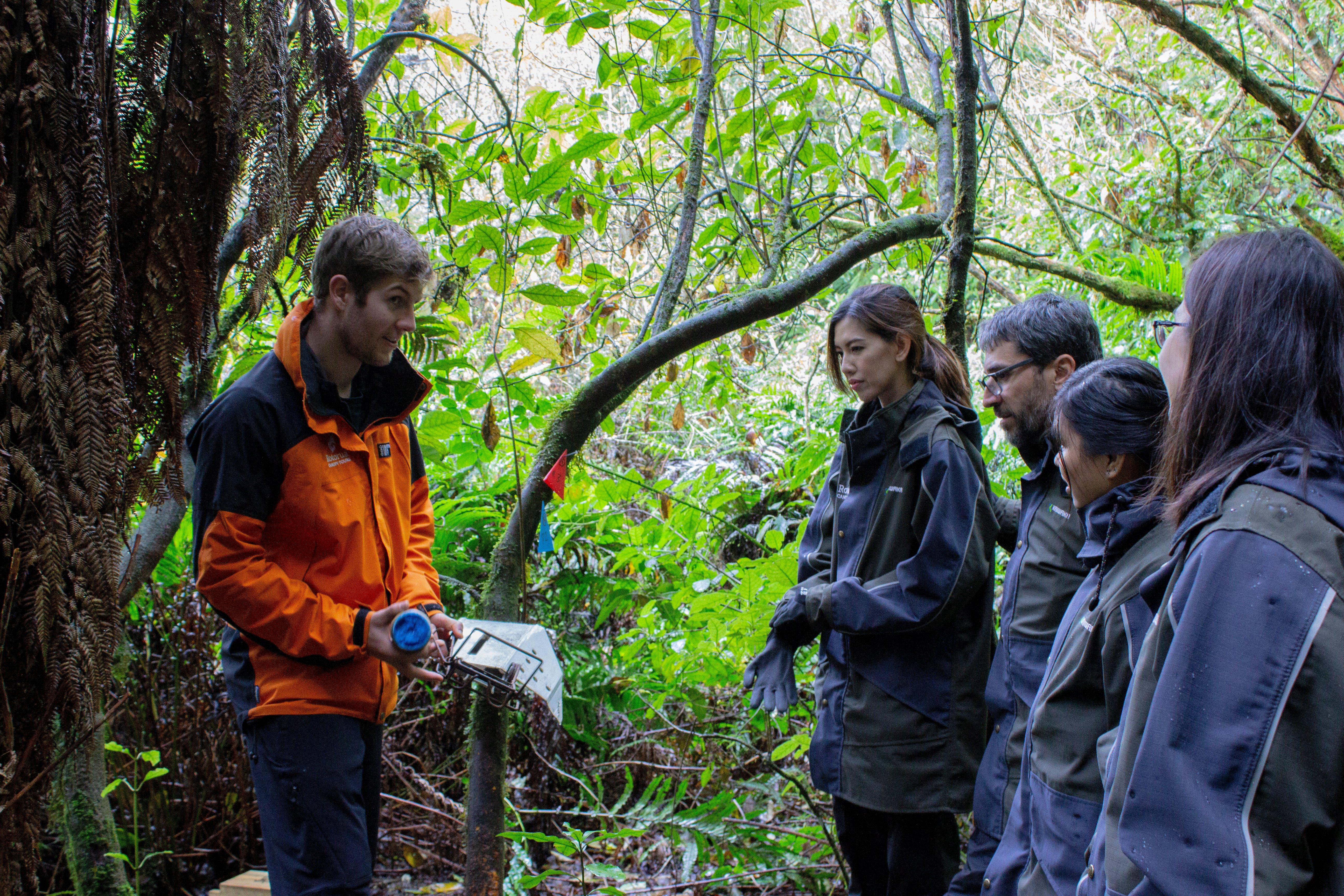 Conservation guide showing group how to bait a possum trap 