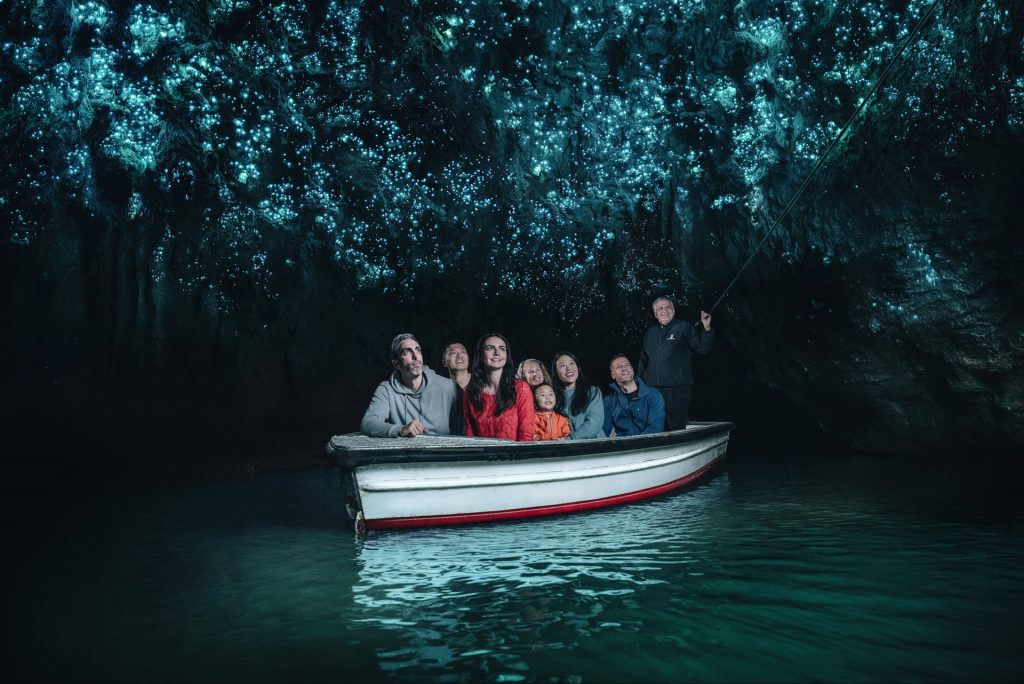 Waitomo Caves (Credit Vaughan Brookfield)