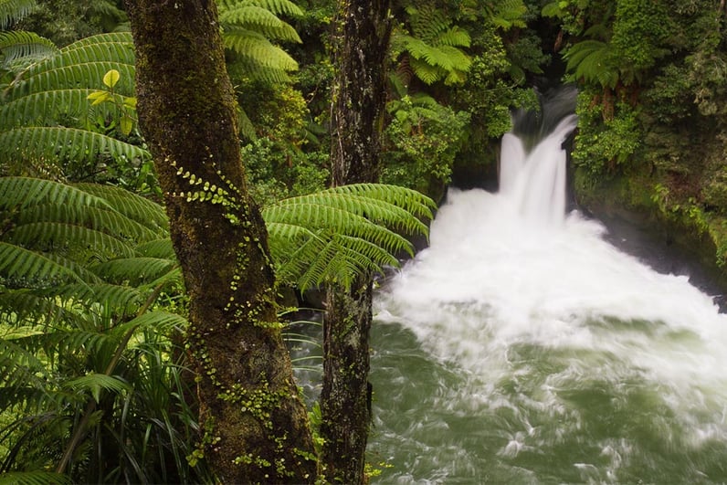 rotorua-waterfalls-tutea-falls