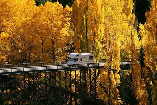 Kiwi family new zeealand road trip