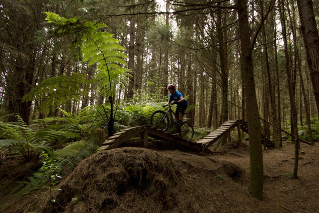 Mountain Biking in Rotorua at the Redwoods