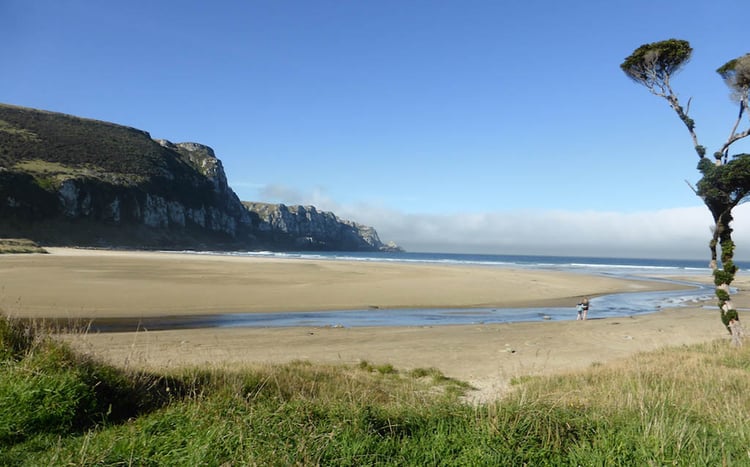 Best New Zealand beaches-Purakaunui-Bay-Southland