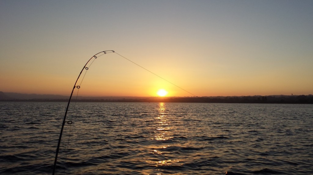 Trout Fishing in Rotorua