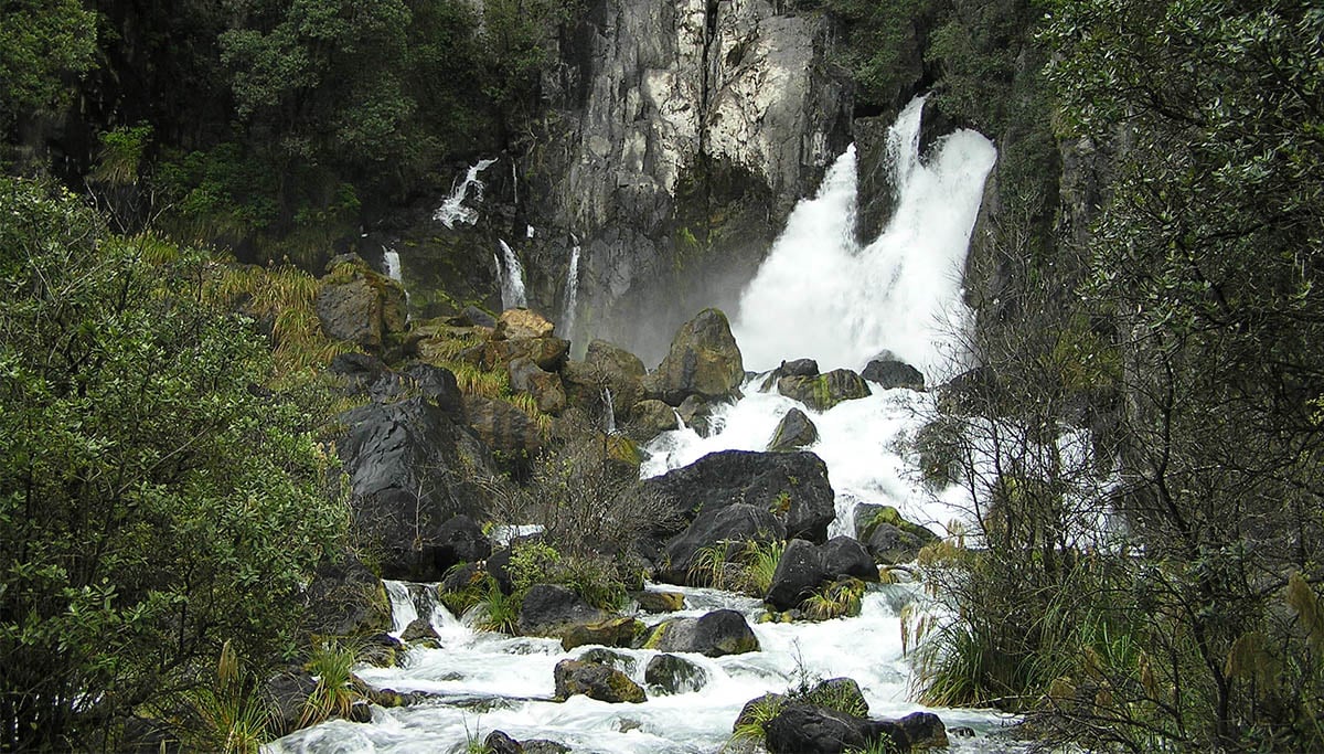 Rotorua-walks-and-Attractions-Tarawera-Falls-Walking-Track