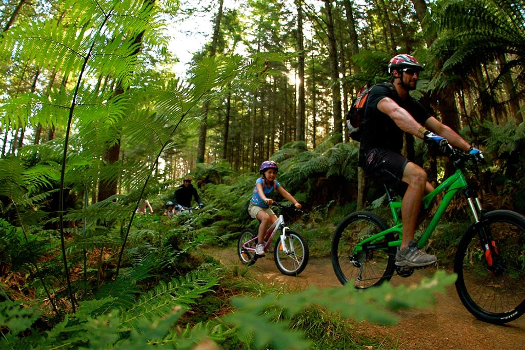 Rotorua Hot Springs - Mountain Biking 