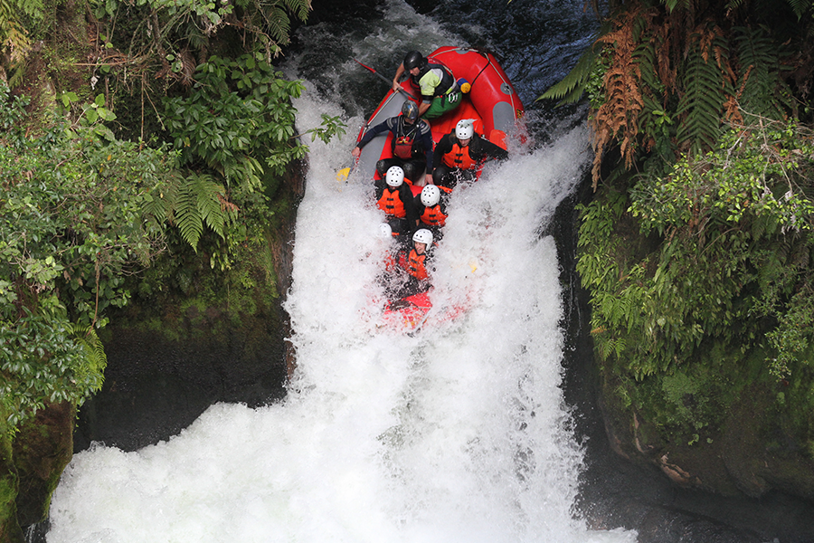 activities in rotorua