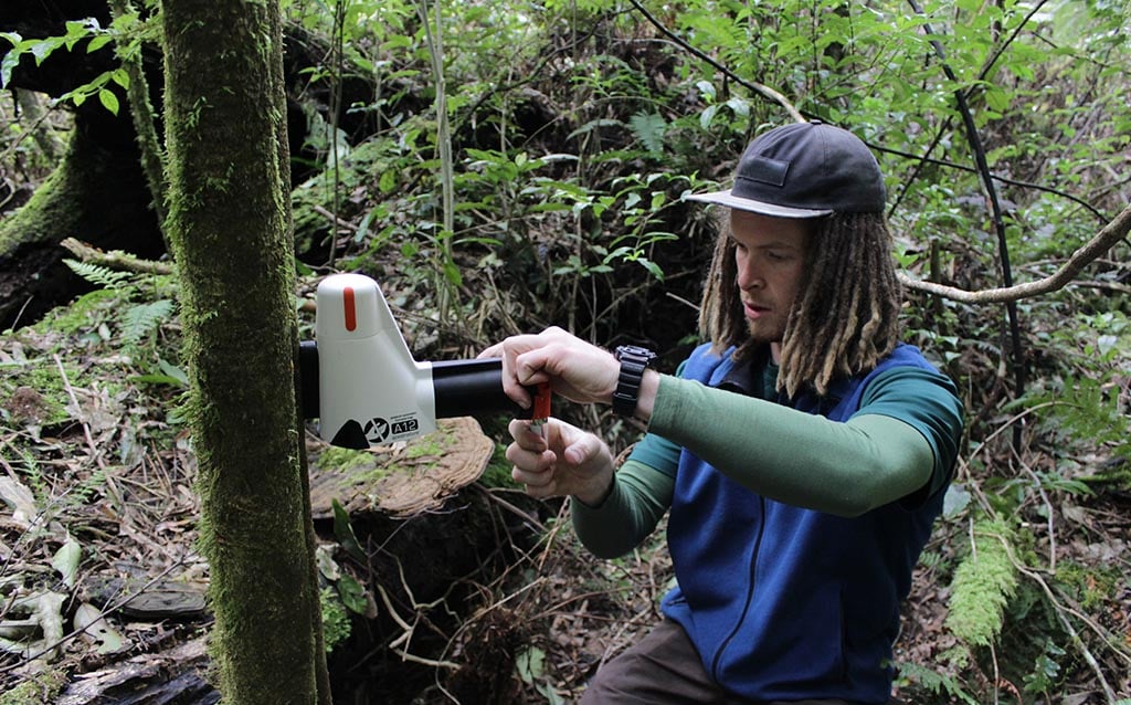 Canopy Tour Guide helping make NZ pest free