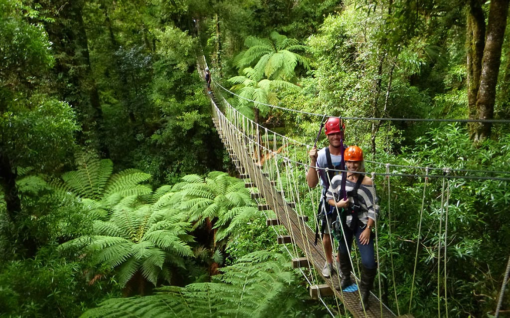 rotorua-canopy-tours-summer-swing-bridge