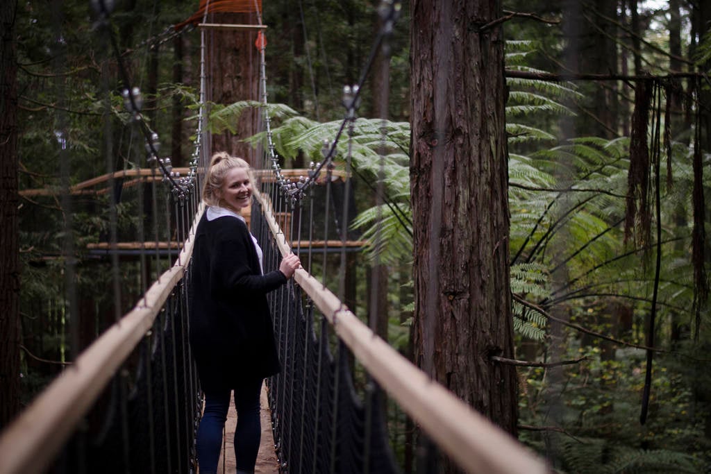 What to do in Rotorua - Redwoods Forest Tree Walk 