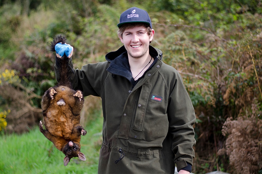 canopy-tours-pest-control