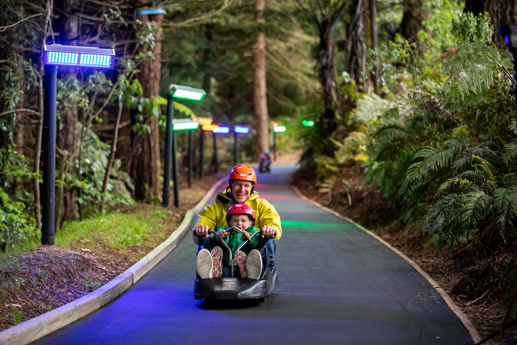 Luge-rotorua-things-to-do