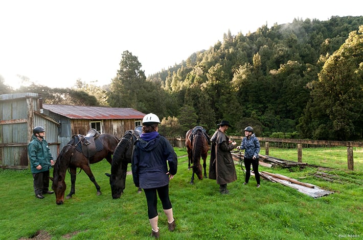 North Island family activities horse trekking