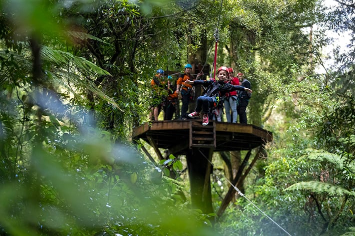 North Island family activities treetop-adventure