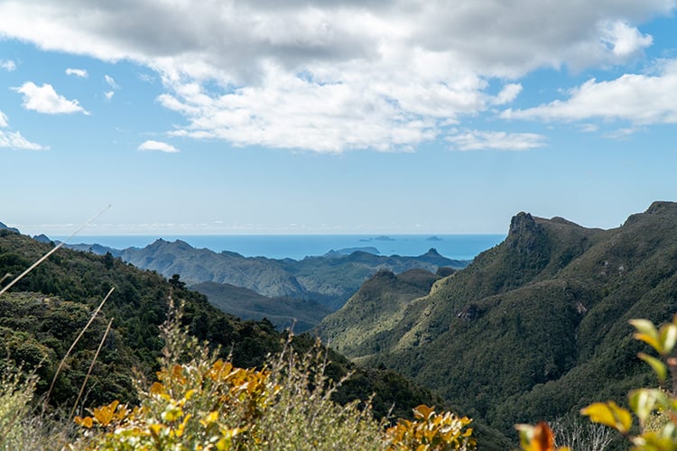 Pinnacles-1