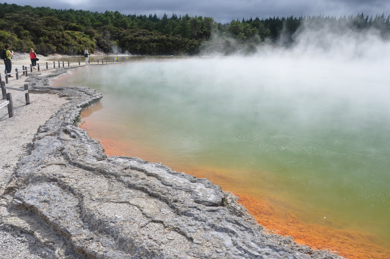 Rotorua-things-to-do-geothermal-pools