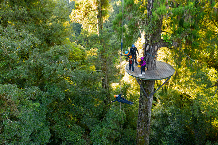 Zipline in Rotorua Ultimate Canopy Tour