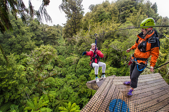 Zipline in Rotorua flying through the canopy