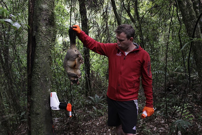 eco tours new zealand conservation efforts