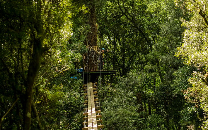 Best zipline in New Zealand swing bridge build