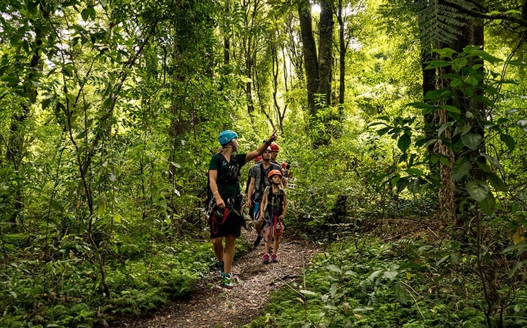 Outdoor activities - conservation at rotorua-canopy-tours