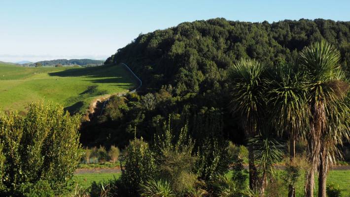 maungatautari sanctuary mountain family activities