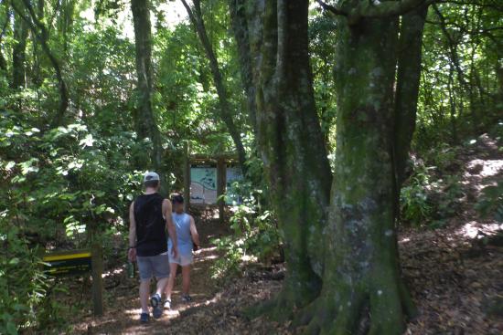 Rotorua adventure at the mount ngongotaha nature loop