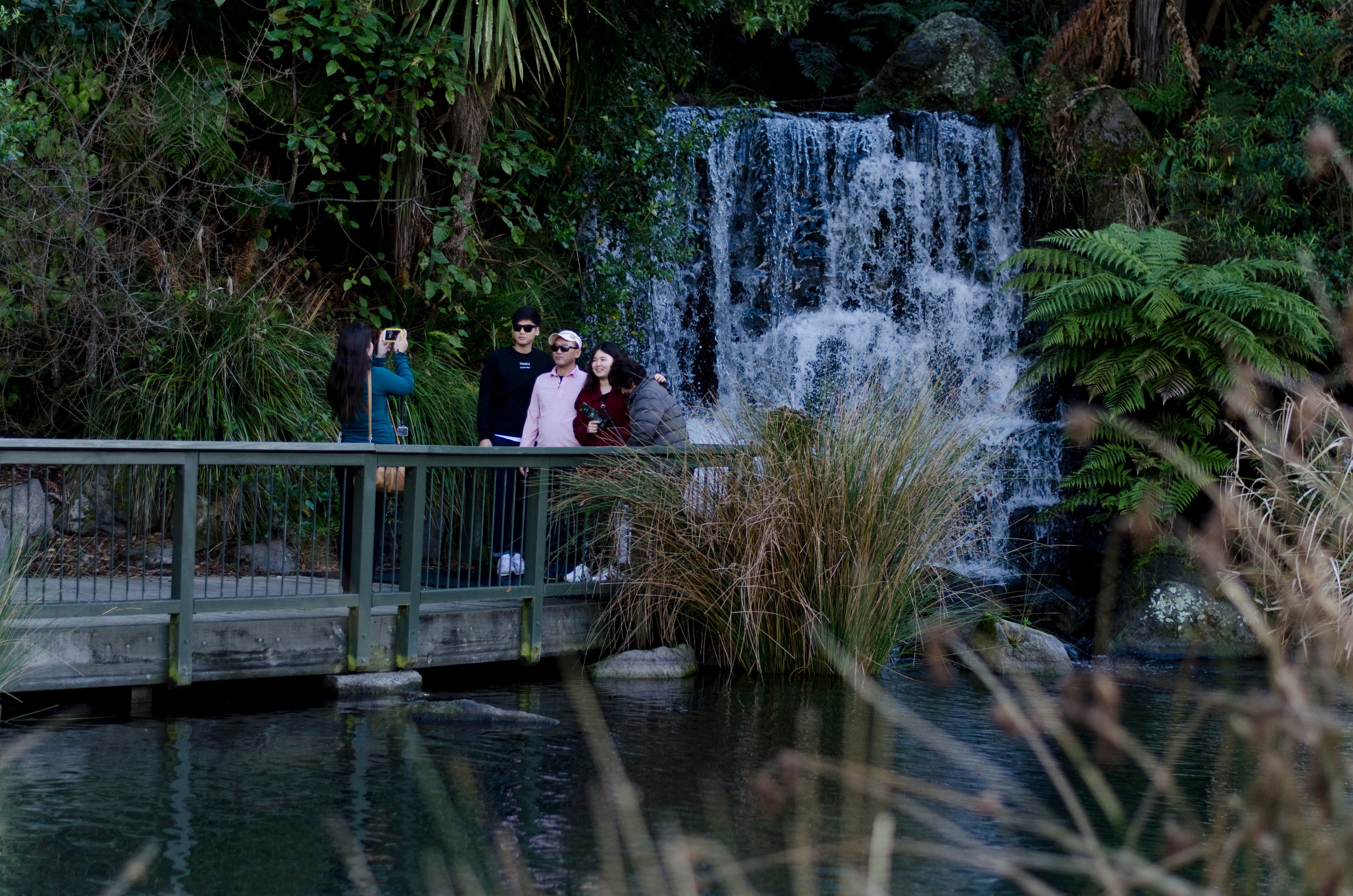 Rainbow Springs Rotorua Activities