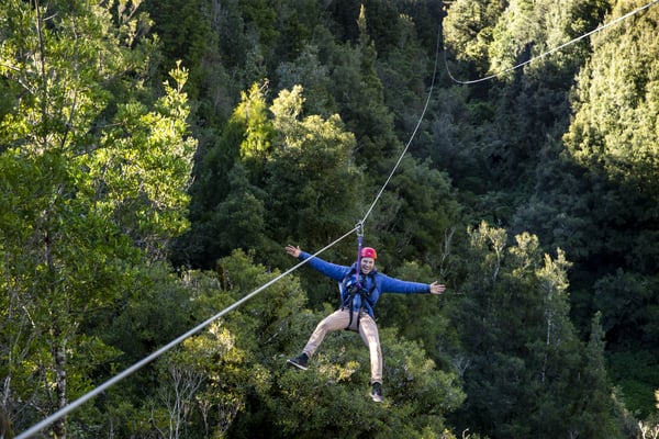 new-zealand-ziplining-ultimate-canopy-tour