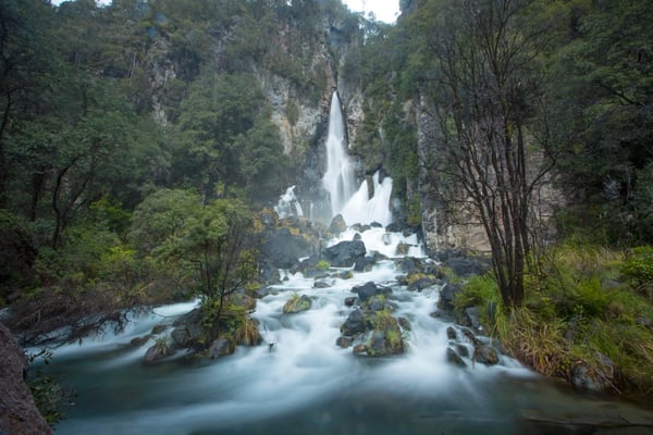 things-to-do-near-rotorua-tarawera-falls