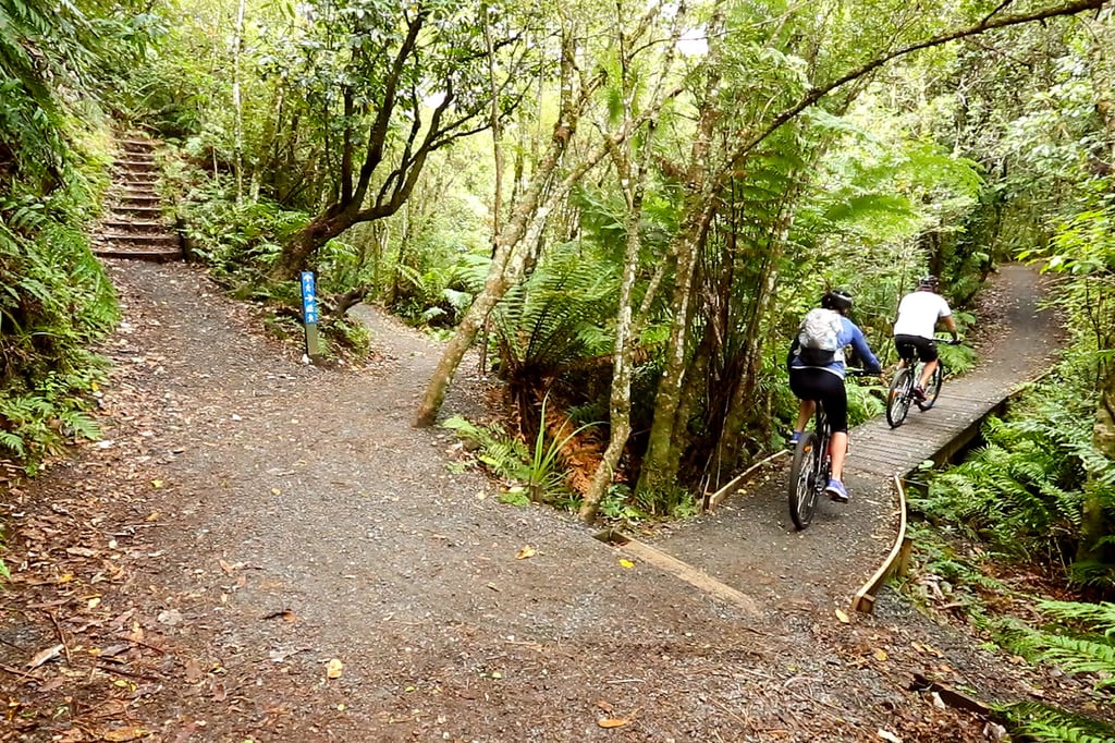 tongariro_river_trail_image-road-trips-in-nz