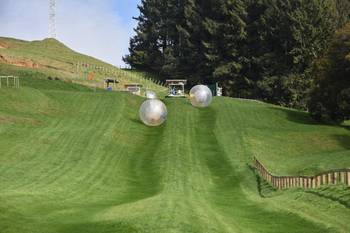 ultimate New Zealand bucket list Zorb