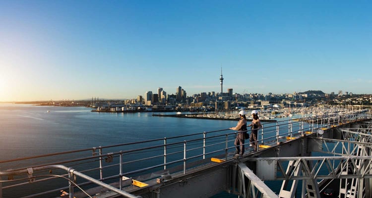 ultimate New Zealand bucket list bridge climb