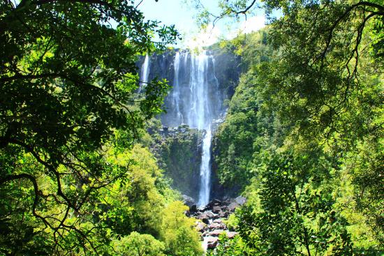 things-to-do-near-rotorua-wairere-falls