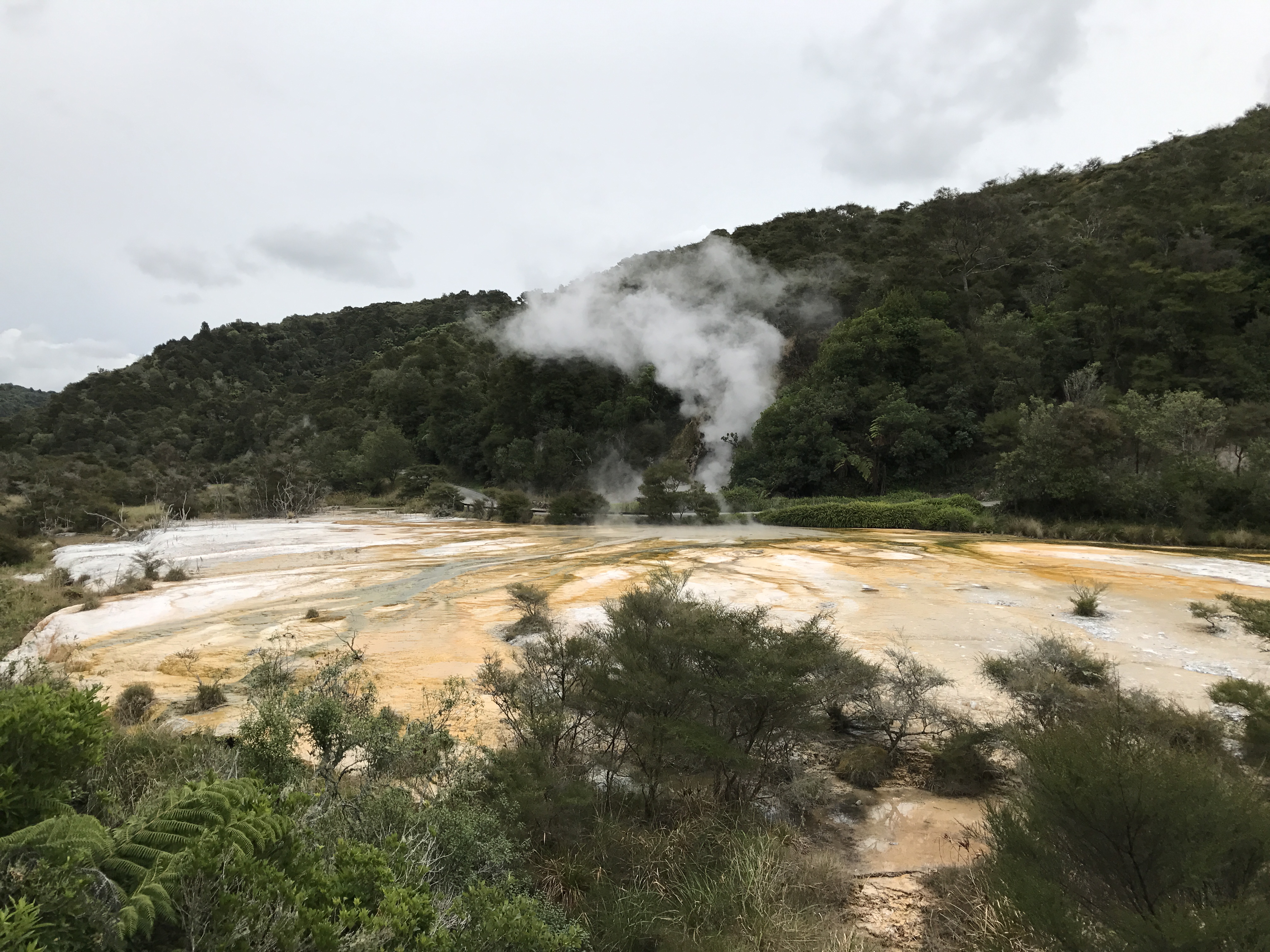 Geothermal Rotorua Activities