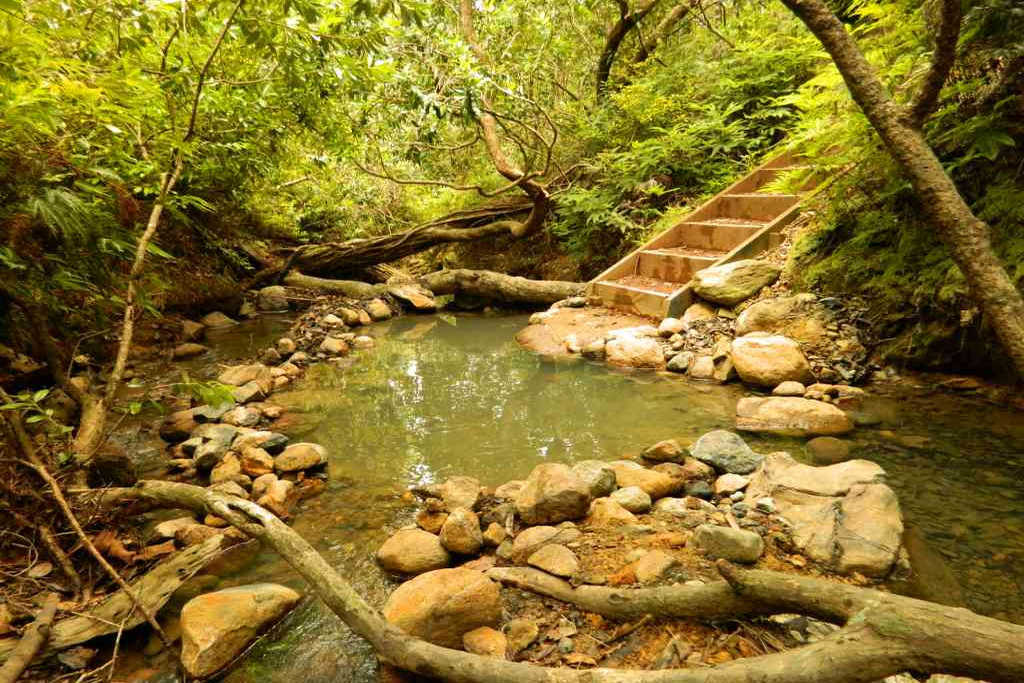 New Zealand hot springs