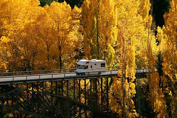 New Zealand road trip