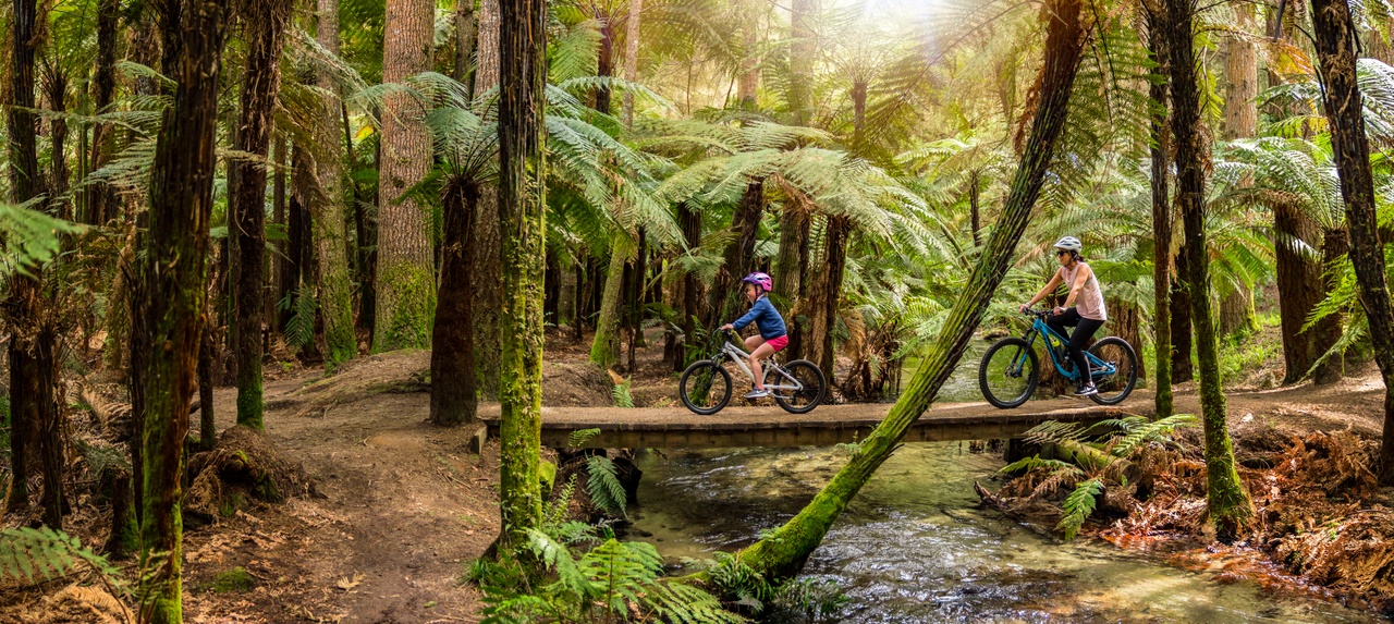 Mountain biking family Rotorua activities