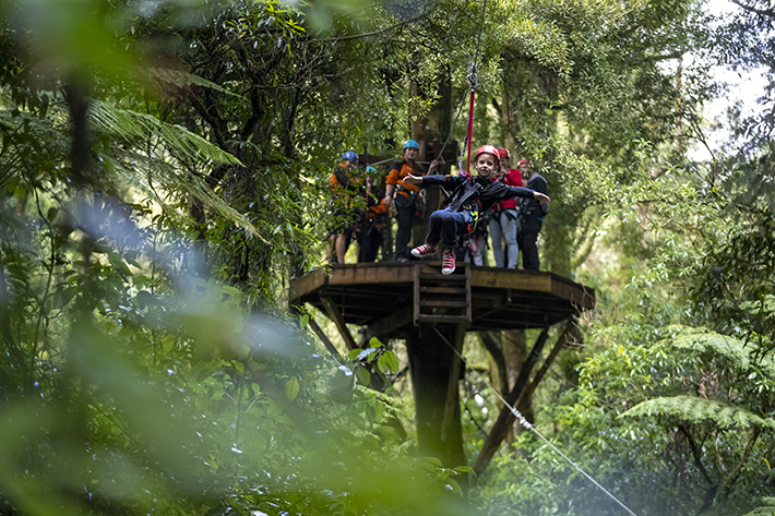 Best North Island family activities 