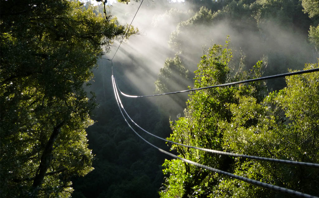 family-activties-for-all-ages-rotorua-canopy-tours-1